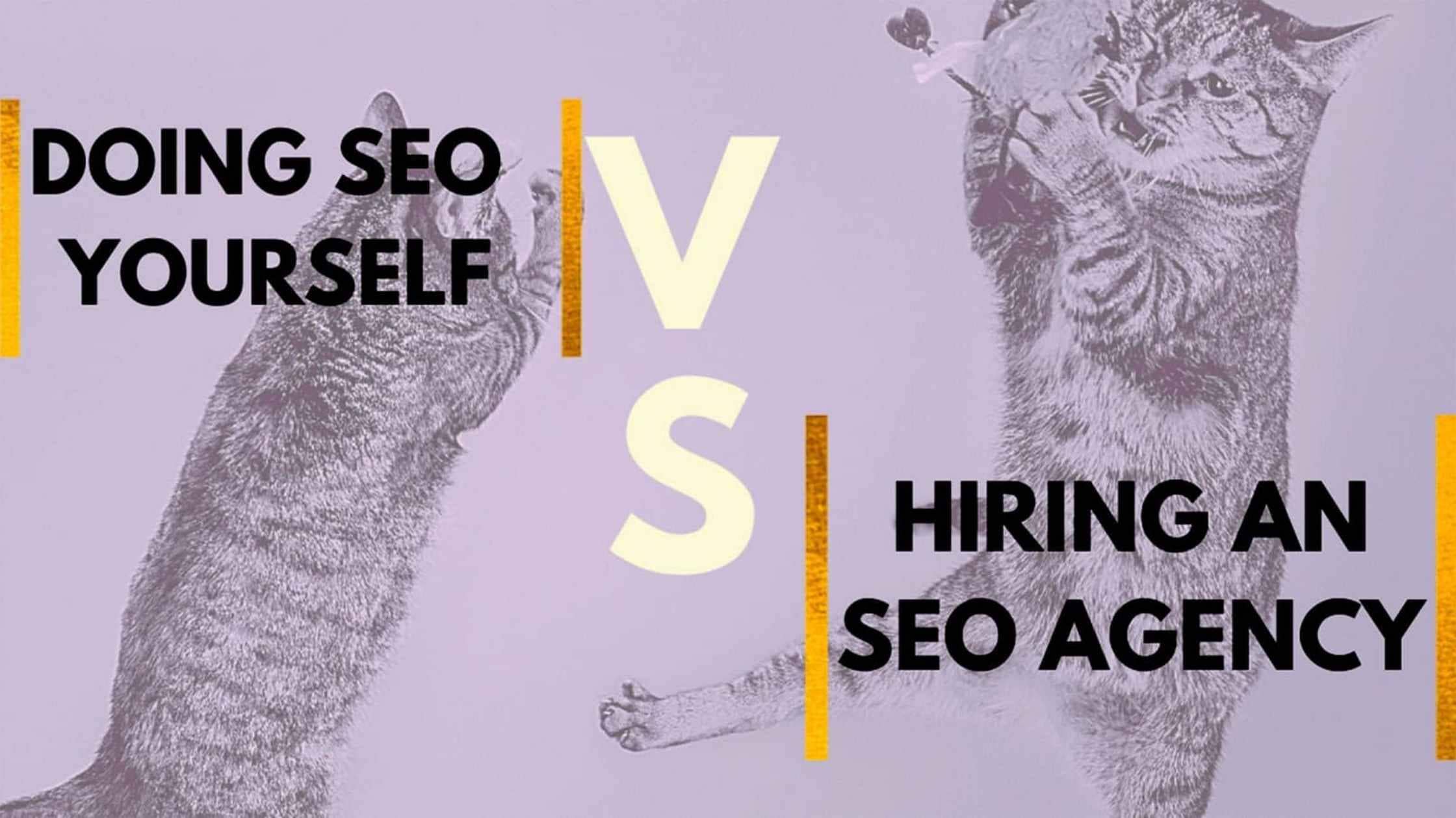 Read more about the article Doing SEO Yourself Vs Hiring An SEO Agency
